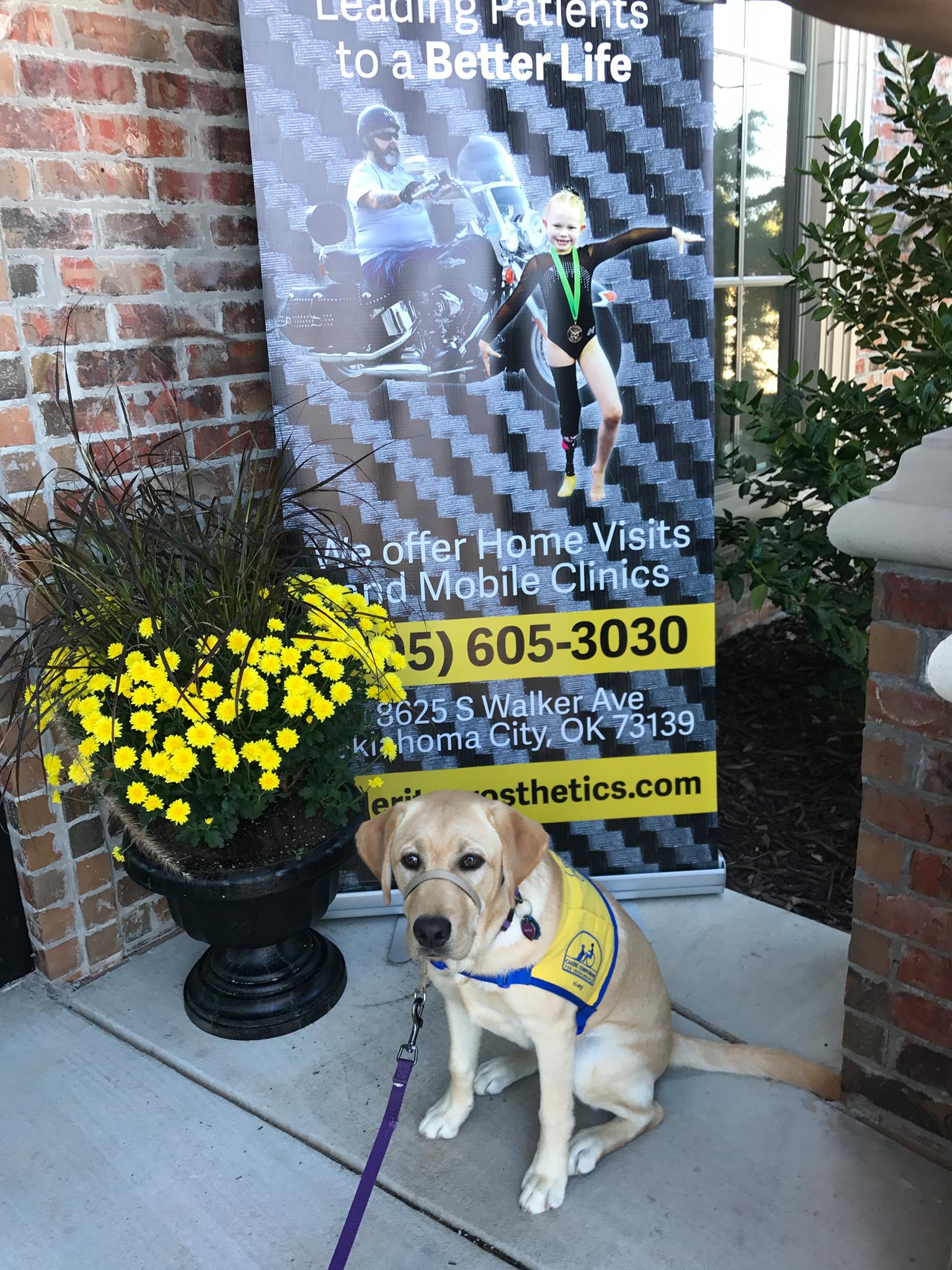 DogFest 2018
