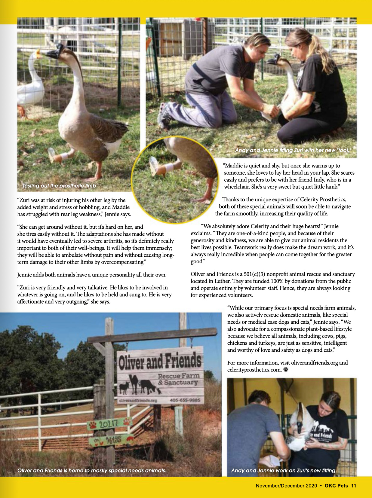 animal prosthetics article